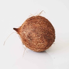 coconut
